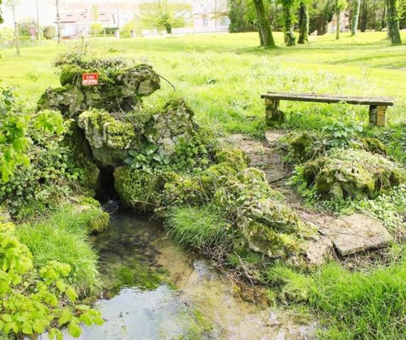 Dpt Vosges (88), à vendre proche de CONTREXEVILLE immeuble de 5 APPARTEMENTS accès PARC THERMAL