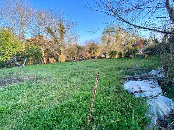 Maison à rénover de 4 pièces avec grand terrain et garage indépendant à SAINT SEVER (40)