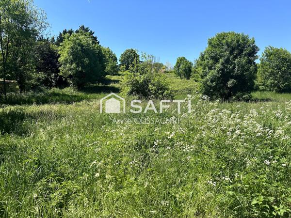 Terrain constructible de 6647m2 à Exireuil, proche de Saint-Maixent-L'Ecole (79400).