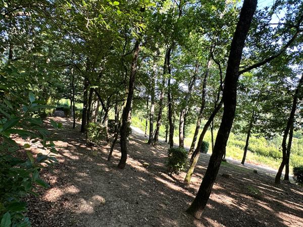 Terrain à bâtir a vendre - Quartier saint martial proche centre-ville montauban 82