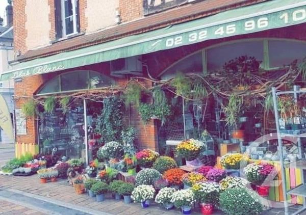 Maison à vendre  3 pièces - 110,25 m2 BRIONNE - 27