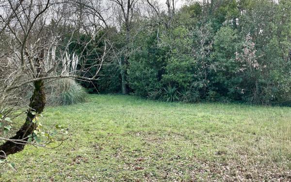 Terrain à vendre    Le Château-d'Oléron