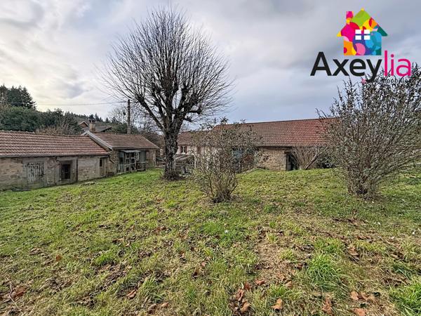 Arfeuilles (03120) A VENDRE - ARFEUILLES - MAISON À RÉNOVER AVEC DÉPENDANCES ET TERRAIN