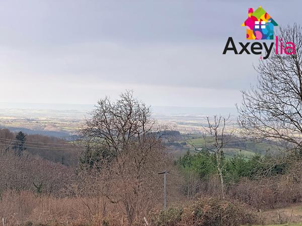 Arfeuilles (03120) A VENDRE - ARFEUILLES - MAISON À RÉNOVER AVEC DÉPENDANCES ET TERRAIN