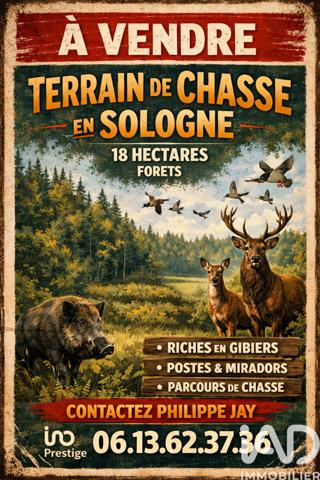 Terrain à vendre 153 854 m² Neuvy-sur-Barangeon