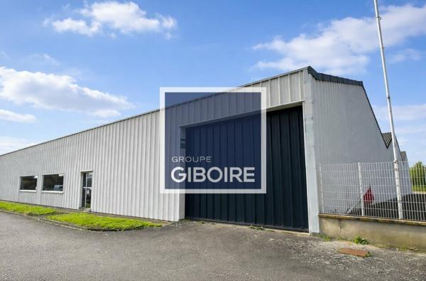 Local d'activites 1600 m² à vendre LE RHEU (réf : 35.6914)