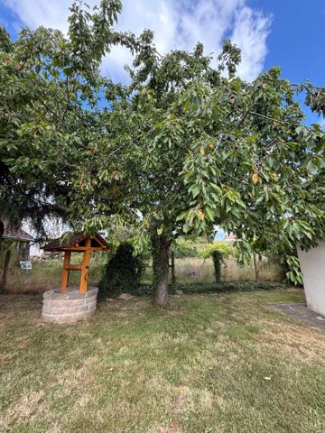 EN EXCLUSIVITE ! Pavillon de 114m², sur sous sol,  terrain de 956m2 180 000 €