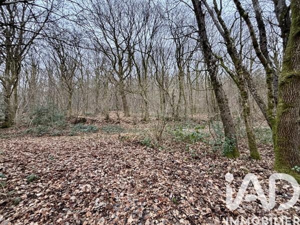 Terrain à vendre 3 567 m² Bogny-sur-Meuse