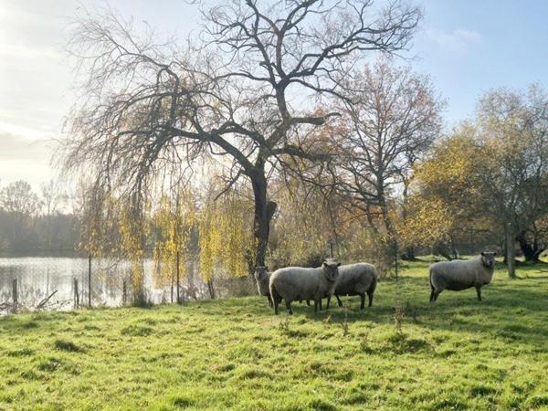 Domaine d’exception – nature et intimité absolue