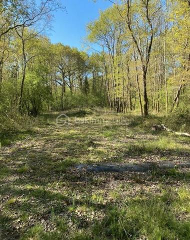 📍 À seulement 8 minutes de Saujon et 20 minutes de Royan, découvrez ce terrain naturel d’environ 2 853 m², situé dans un environnement calme et préservé.

Ce terrain conviendra parfaitement à celles et ceux qui recherchent un espace de nature pour cultiver, jardiner, planter des arbres fruitiers, développer un potager ou envisager un petit projet apicole avec des ruches.

Le terrain dispose de plusieurs atouts pratiques :

✅ Environ 2 853 m² de terrain
✅ Clos en façade
✅ Puits sur la propriété 💧
✅ Partie boisée 🌳
✅ Cabanon d’environ 5 m² pour le rangement du matériel
✅ Préau d’environ 12 m²
✅ Environnement naturel et paisible
✅ À 8 min de Saujon et 20 min de Royan
✅ Aucune taxe foncière à prévoir

⚠️ Important : le terrain est situé en zone naturelle non constructible. Il ne permet pas l’installation de caravane, camping-car, tente, mobil-home ou habitation légère de loisirs.

Il s’agit donc d’un terrain destiné principalement à un usage de jardinage, culture, verger, entretien d’un espace naturel ou projet apicole, dans le respect des règles d’urbanisme en vigueur.

🌱 Une belle opportunité pour profiter d’un coin de nature, proche de Saujon, sans projet d’habitation ni installation de loisir.

Pour plus d’informations ou organiser une visite, contactez-moi au 📞 06 98 84 63 83 ou par mail à ✉️ l.you@bskimmobilier.com