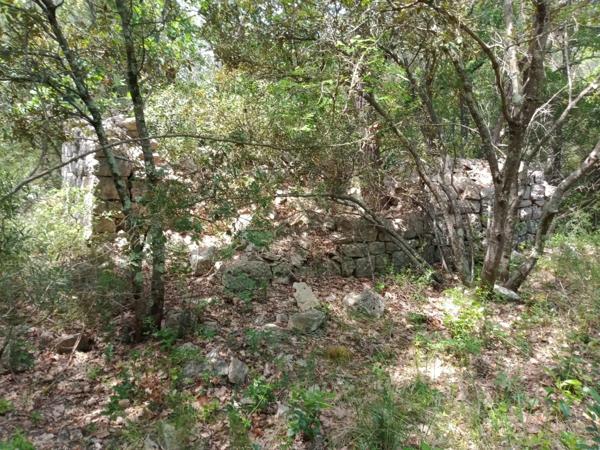 Terrain 6 100M²