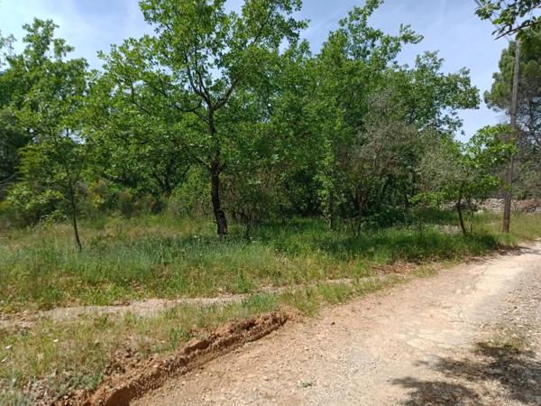 Terrain 6 100M²