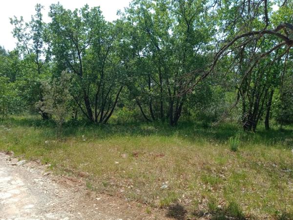 Terrain 6 100M²