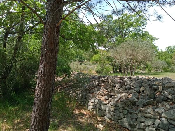 Terrain 6 100M²
