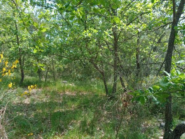 Terrain 6 100M²
