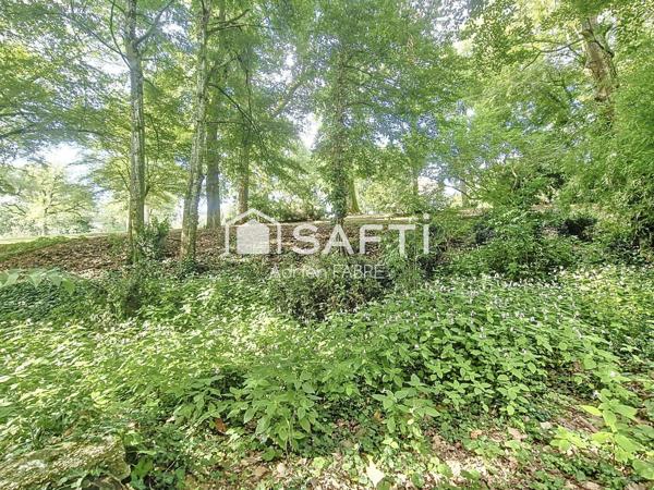 À VENDRE – CHÂTEAU DU XIXe SIÈCLE – 448 m²  avec un parc de 7 hectares  aux portes de Toulouse