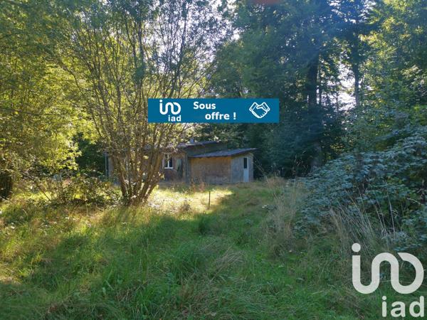 Maison à vendre 3 pièces 50 m² Peyrelevade