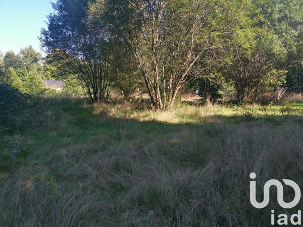 Maison à vendre 3 pièces 50 m² Peyrelevade