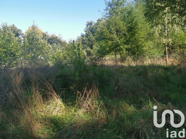 Maison à vendre 3 pièces 50 m² Peyrelevade