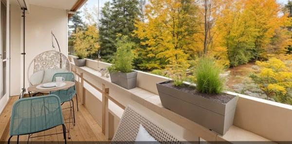 Appartement t3 + cave