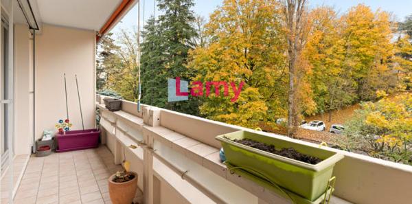 Appartement t3 + cave