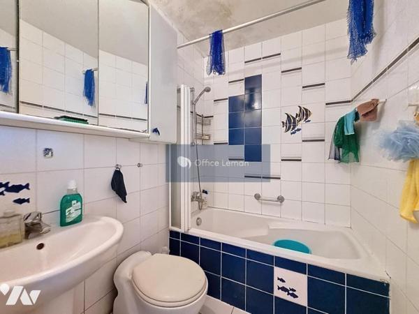 Ferney Voltaire T3 loué à vendre 