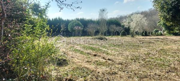 Lotissement de 2 540 m²