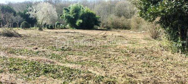 Lotissement de 2 540 m²