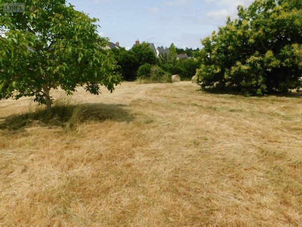 Terrain à Batir à vendre à Saint-Denis-d'Anjou en Mayenne (53290), ref : 49096-1380