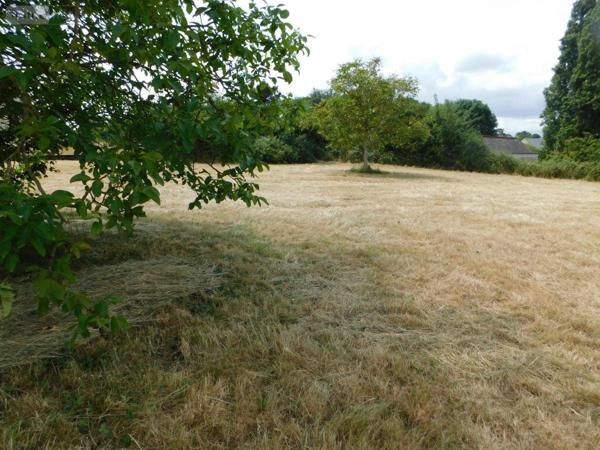 Terrain à Batir à vendre à Saint-Denis-d'Anjou en Mayenne (53290), ref : 49096-1380