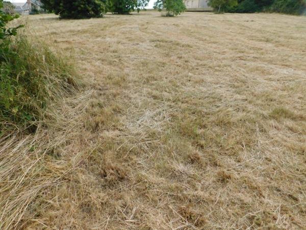 Terrain à Batir à vendre à Saint-Denis-d'Anjou en Mayenne (53290), ref : 49096-1380