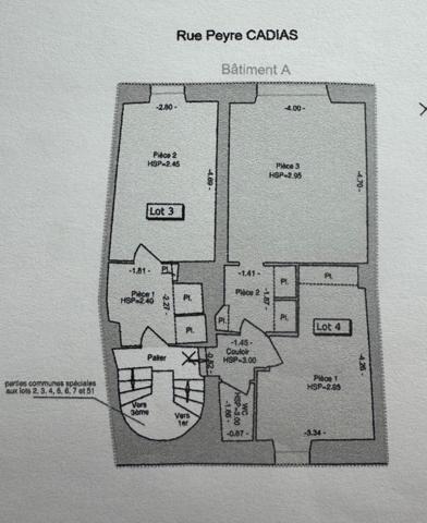 Saint-Affrique (12400) Possibilité de créer 5 ou 6 appartements !