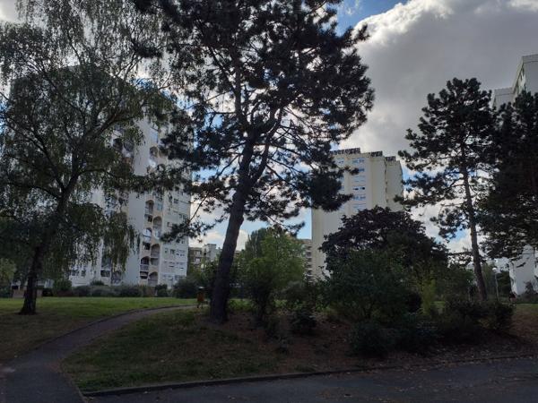 SQUARE DES CALEIDES T2 NON MEUBLE