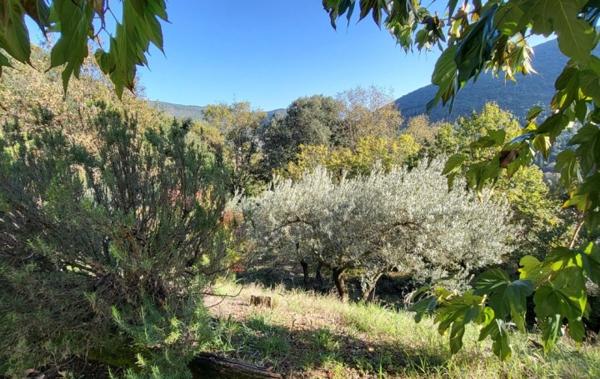 Vente Villa P5 sur 6000m² de terrain Saint-jean-du-gard   