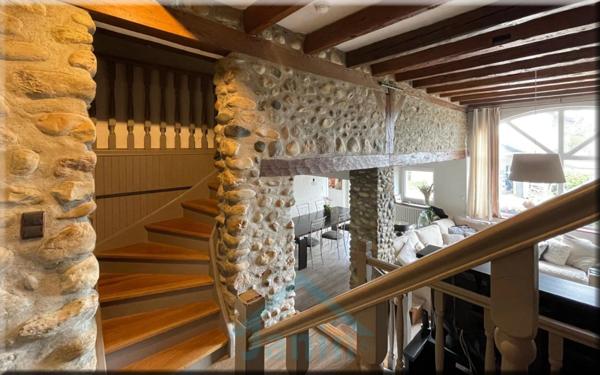 Maison à vendre 9 pièces CHALLEX (01) une belle rencontre