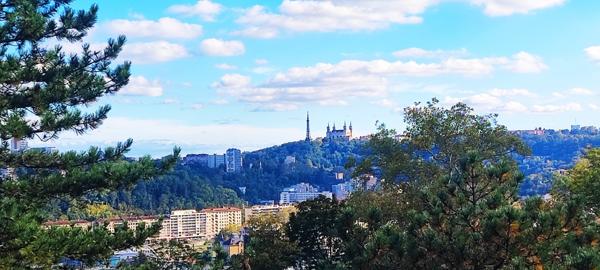 Appartement 3 pièces - 67 m² Exclusivité efficity