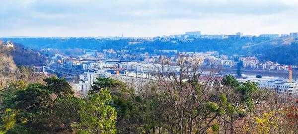 Appartement 3 pièces - 67 m² Exclusivité efficity