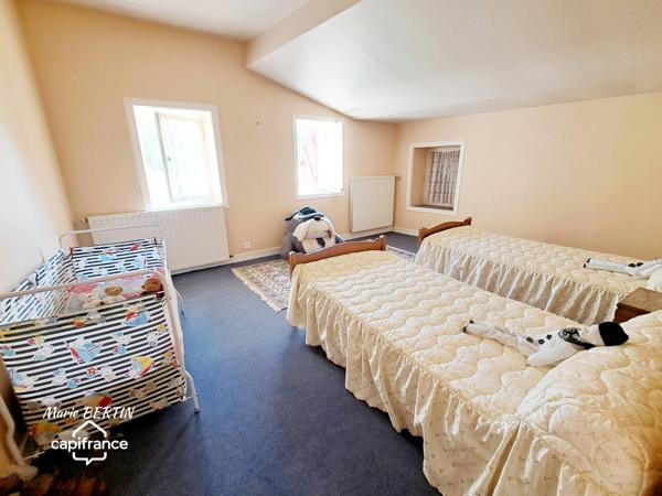 Propriété à vendre 11 pièces CELLES SUR BELLE (79)