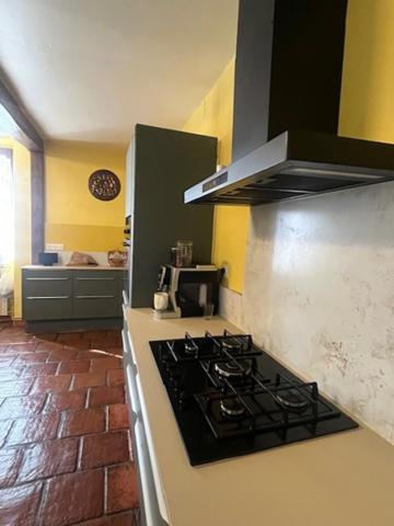 PLAISANCE (32): SANS TRAVAUX, MAISON XVIIIs restaurée avec élégance SUR 240M2 habitables, 6600m2 de jardin,géothermie,  puits, géothermie, grandes dependances environnement bucolique