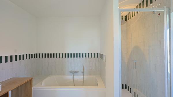 Architecture authentique - loft en duplex avec terrasses et jardinet - Ahetze