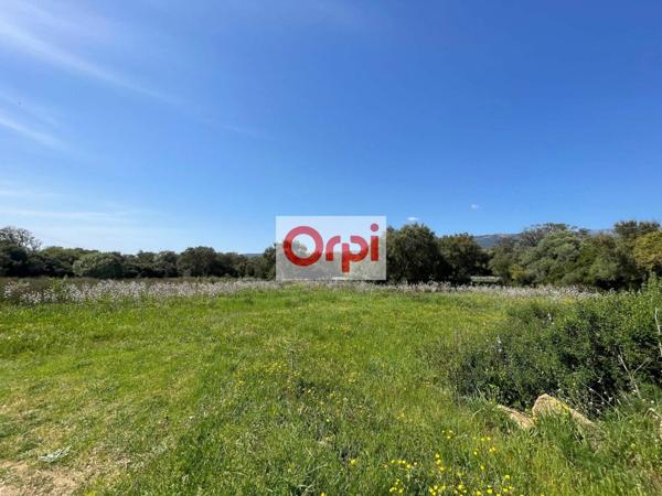 Terrain à vendre    Figari