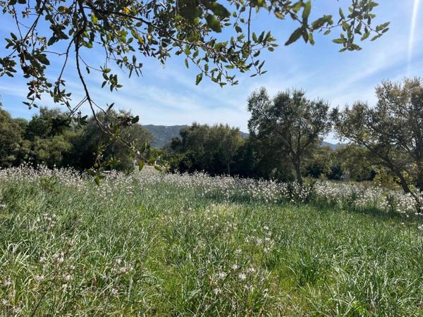 Terrain à vendre    Figari