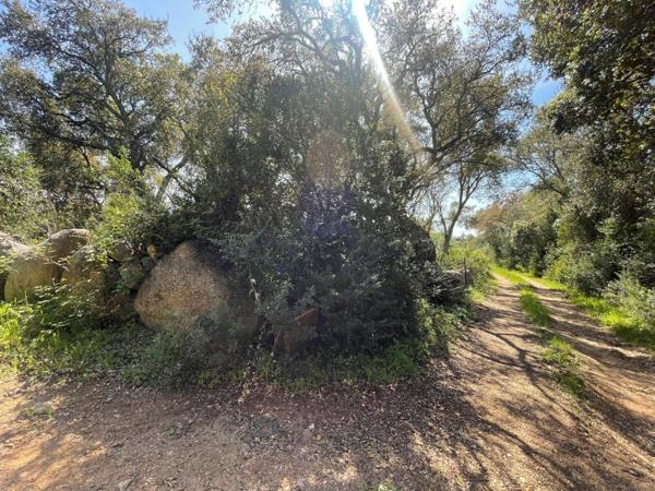 Terrain à vendre    Figari