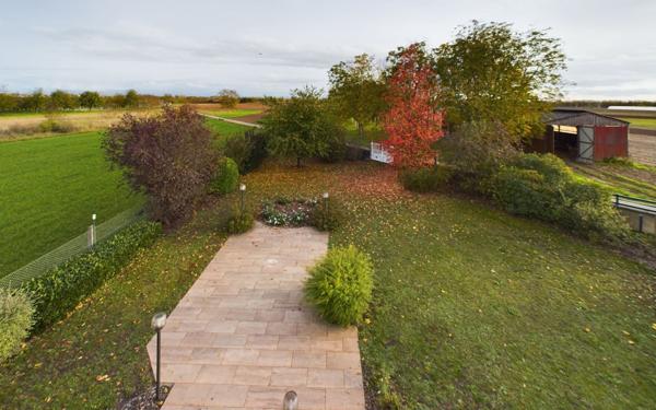 Maison à louer    6 pièces •  Holtzheim