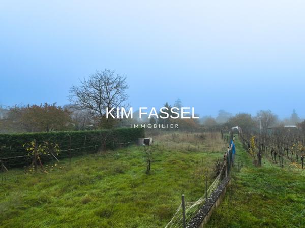 Obernai (67210) TERRAIN - 14,30 ares