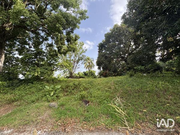 Terrain à vendre 2 535 m² Le Lamentin