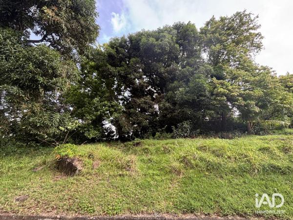 Terrain à vendre 2 535 m² Le Lamentin
