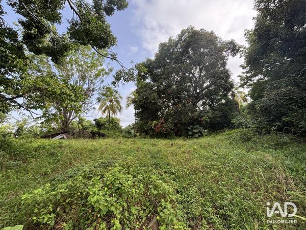 Terrain à vendre 2 535 m² Le Lamentin