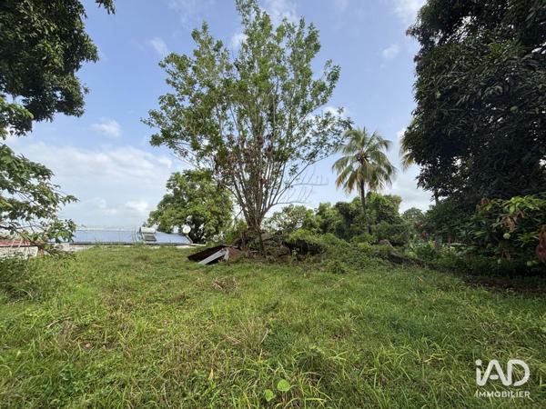 Terrain à vendre 2 535 m² Le Lamentin