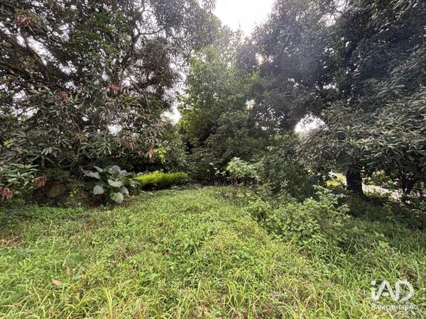 Terrain à vendre 2 535 m² Le Lamentin